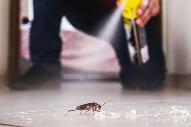 Best Emergency Pest Control  in East Orange, NJ